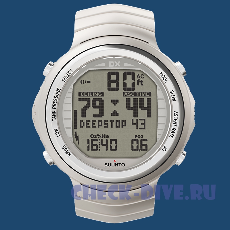 Компьютер Suunto DX Silver titanium