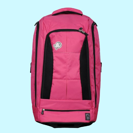 Дорожная сумка Divebag Lite Bites